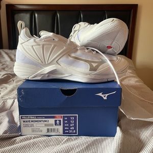 Mizuno Volleyball shoes